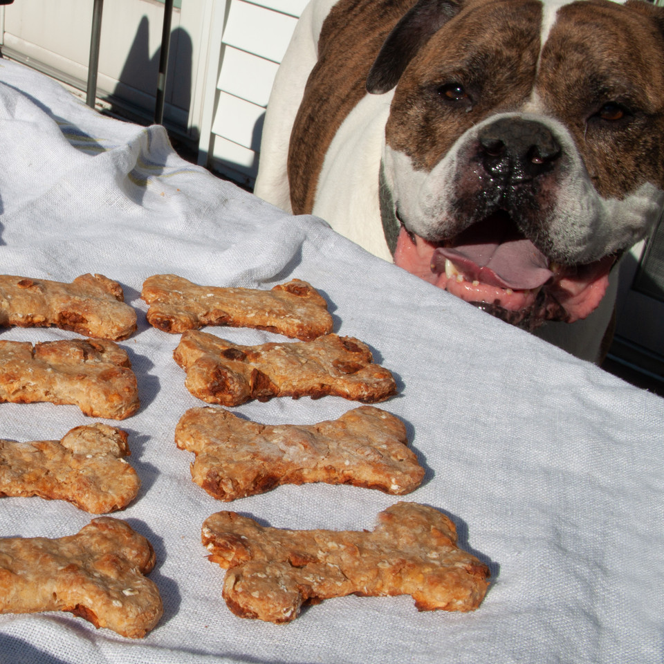 Apple and Peanut Butter Dog Treats